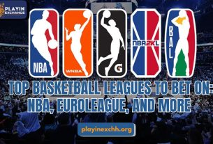 Playinexch-Top Basketball Leagues to Bet On