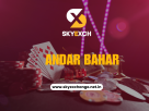 Top 5 Strategies to Win Andar Bahar Online Every Time By Skyexchange