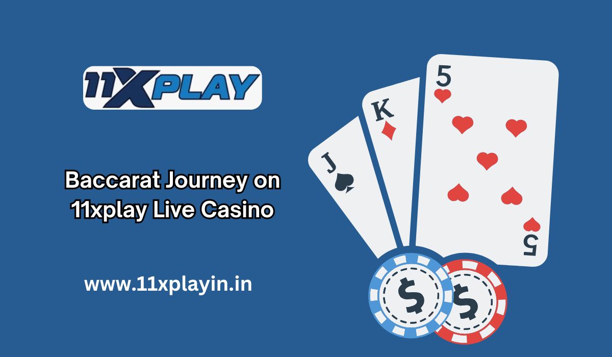Baccarat Basics to Advanced Your Journey on 11xplay Live Casino