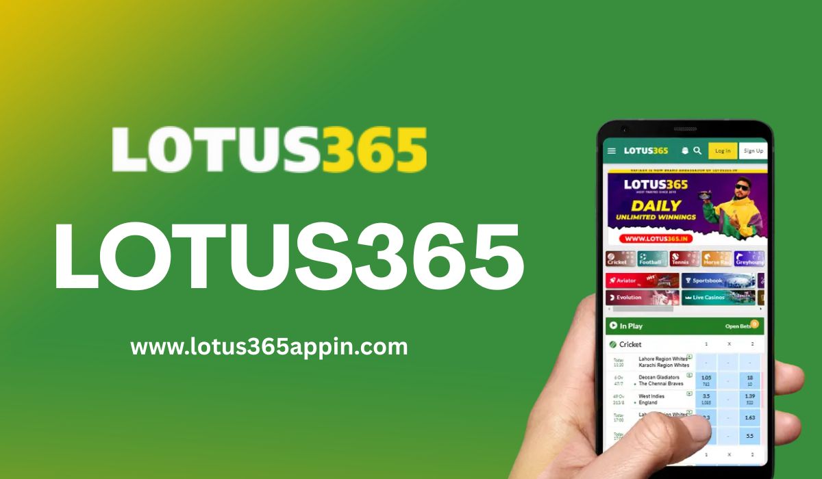 Lotus365 App vs Website Which One Offers Better User Experience